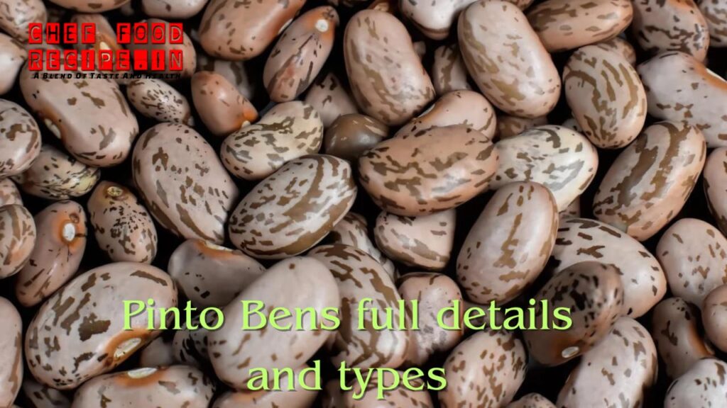 What is a pinto bean?